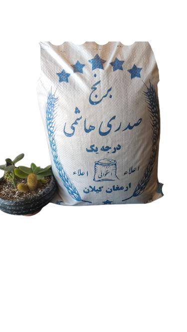 برنج صدری هاشمی