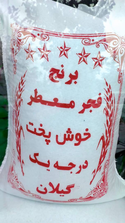 10000 گرمی