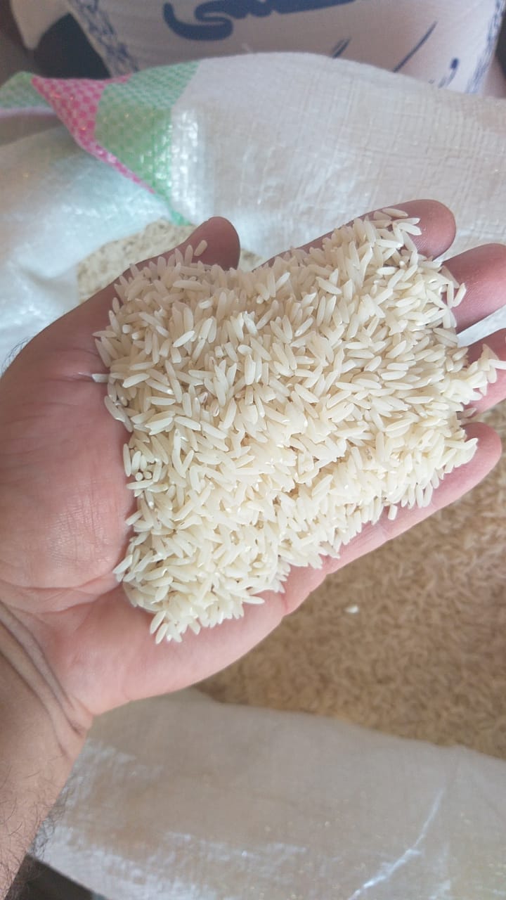 برنج دمسیاه ممتاز آستانه تازه