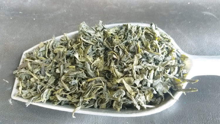 چای سبز اصل بهاره