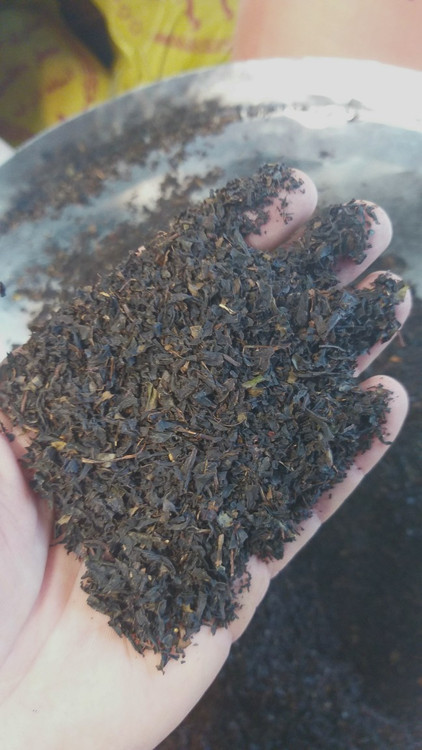 چای ریز برگ بهاره تازه