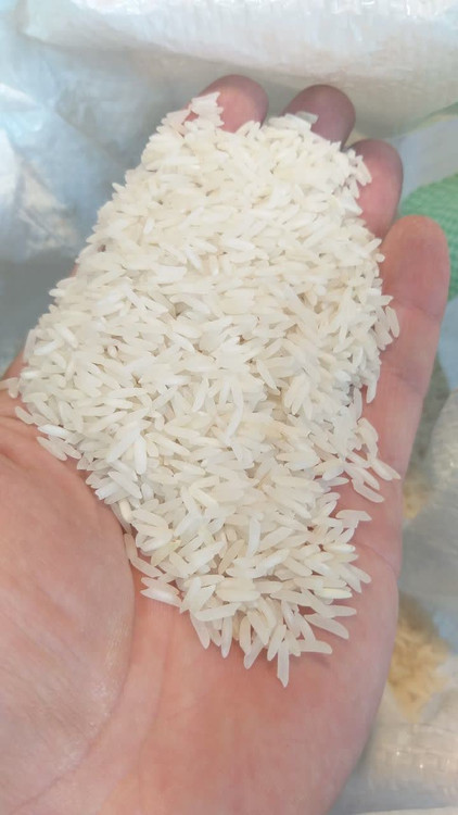 برنج فجر خوشپخت