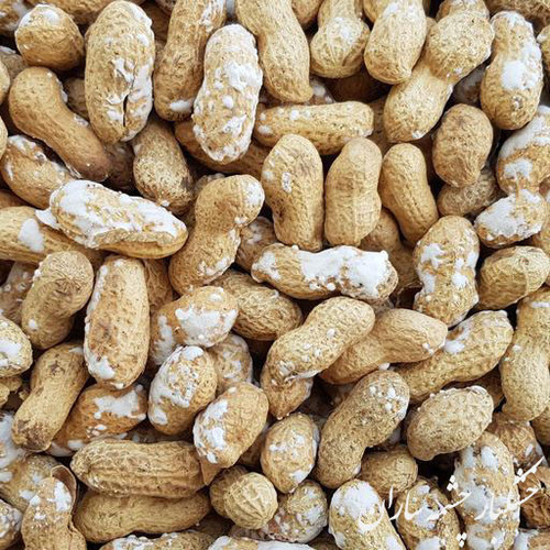 بادام زمینی 2 کیلویی