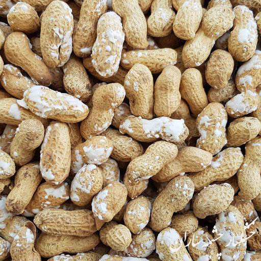 بادام زمینی 2 کیلویی