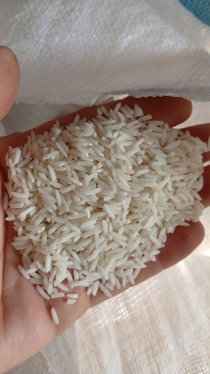 برنج خوشپخت تازه