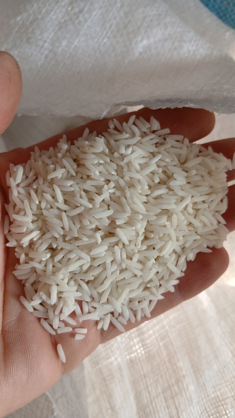 برنج خوشپخت تازه