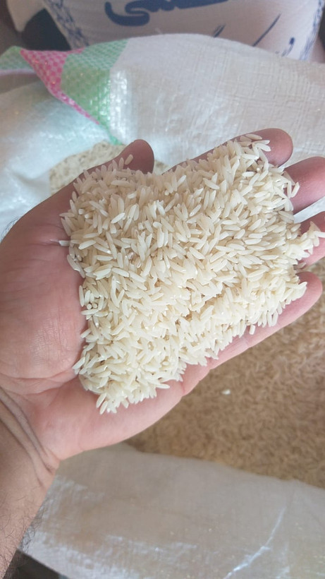 برنج علی کاظمی