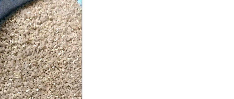 نیم دانه دودی